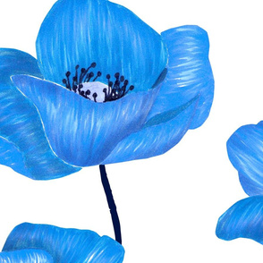 Poppy Flowers Jumbo - Blue