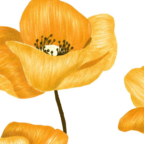 Poppy  Flowers Jumbo - Yellow