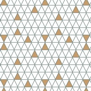 Triangles Polygon // Normal Scale// Geometric Shapes // White Background 