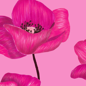 Poppy Flowers Jumbo - Hot Pink