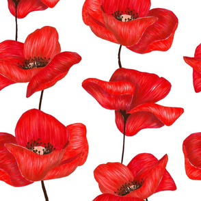 Poppy Flowers XL - Red