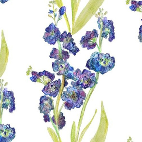 Watercolour floral, Favourite Flower, blue stocks