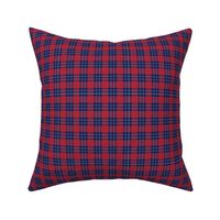 Red and Blue Plaid