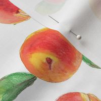 Fresh Peaches - Large, 2 inch ©Luanne Marten