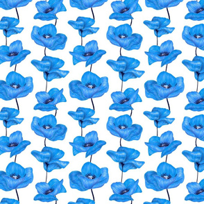 Poppy Flowers - Blue