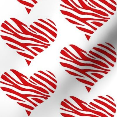 Zebra Red hearts on white background 