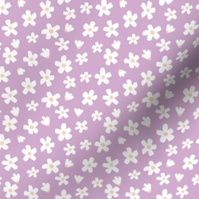 ditsy micro small simple basic daisy flowers - bright pastel lilac lavender