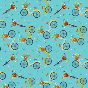 Spring Bicycles, Aqua