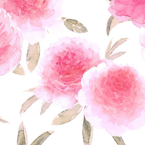 Watercolor pink peonies. Large scale