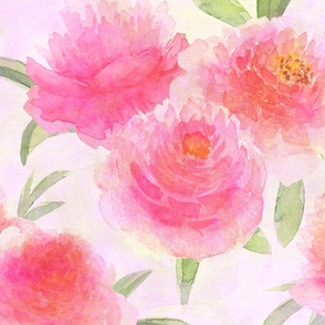 Watercolor pink peonies. Large scale