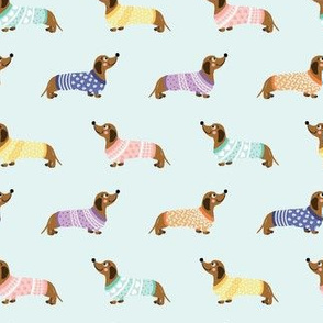 Doxie in Sweaters Mint (Small)