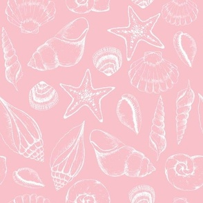Pink White Seashells | Kids Bathroom Home Decor