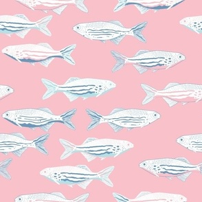 Pink sardine fish traffic / kids summer wear / bathroom 