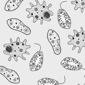 Science Minimalist Fabric, Wallpaper and Home Decor | Spoonflower