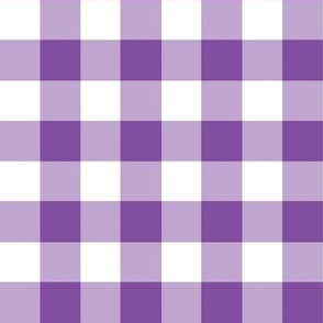 Purple  Gingham check medium