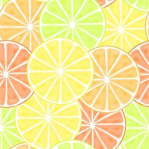 Citrus Fruit Slices