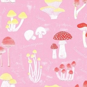 Botanical mushroom collection pink