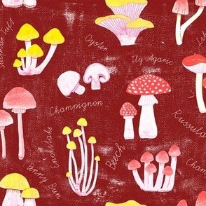 Botanical mushroom collection red