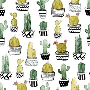 watercolor cactus pots