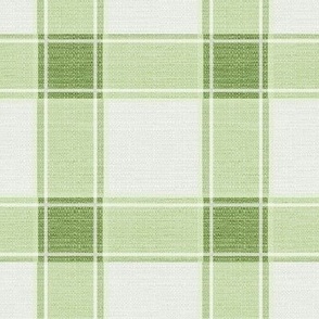 Rustic Gingham Check Green // large