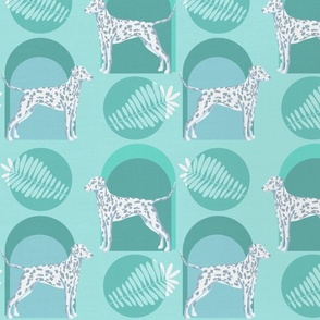 Dalmatian Arches Mint