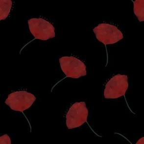 Watercolour Poppies on black background