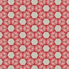 Abstract Red and White Graphic Flowers