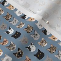 TINY cat faces hello cats kitty cute faces cats fabric