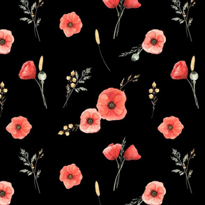 Red poppies and herbs on black