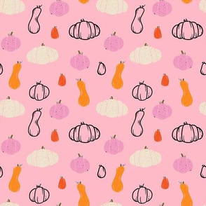 Pumpkin & Gourds (8inx8in) Pink
