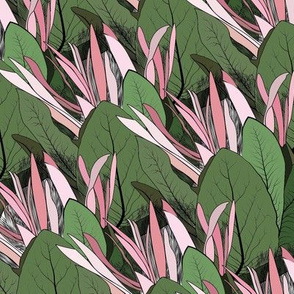 Protea Dreams // Normal Scale // King Protea Flower // Pink Green Black background