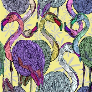 flock of flamingos