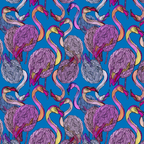 Crazy flamingos