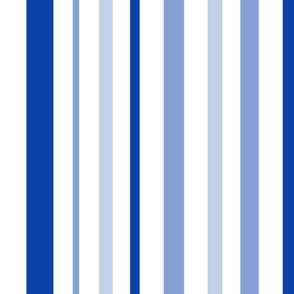 Indigo big stripe