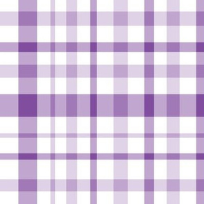 purple and white  plaid