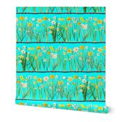 Aqua daffodil border