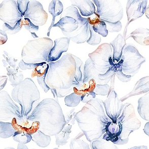 Orchid watercolor design