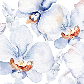Orchid watercolor design2