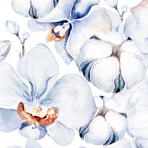 Orchid watercolor design 6