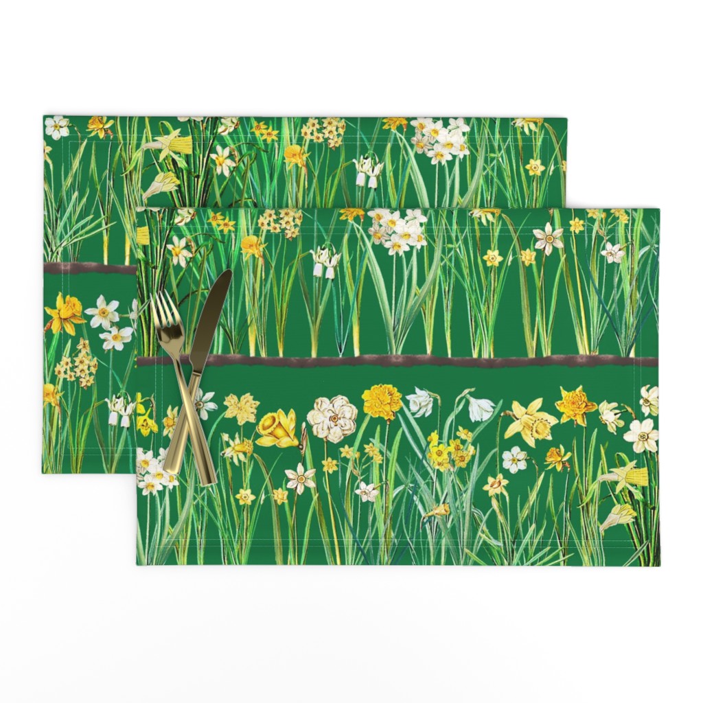 Green daffodil border