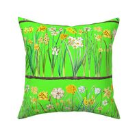 Spring green daffodil border