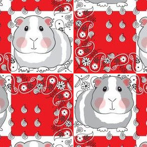 large guinea pigs on red and white bandanas