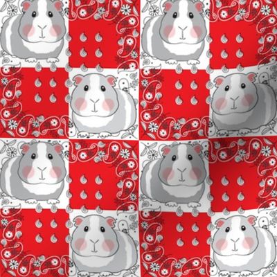 medium guinea pigs on red and white bandanas