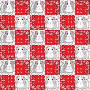 small guinea pigs on red and white bandanas