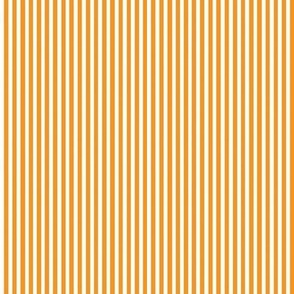 orange pinstripe