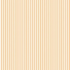 orange light pinstripe