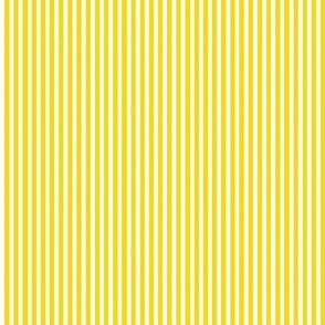 Yellow pinstripe bright