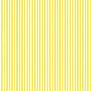 Yellow medium pinstripe