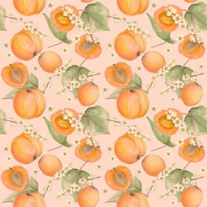 Apricots on Apricot