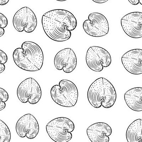 Summer concept with Unique sea shells, sea snails. Sketch black contour on white background.